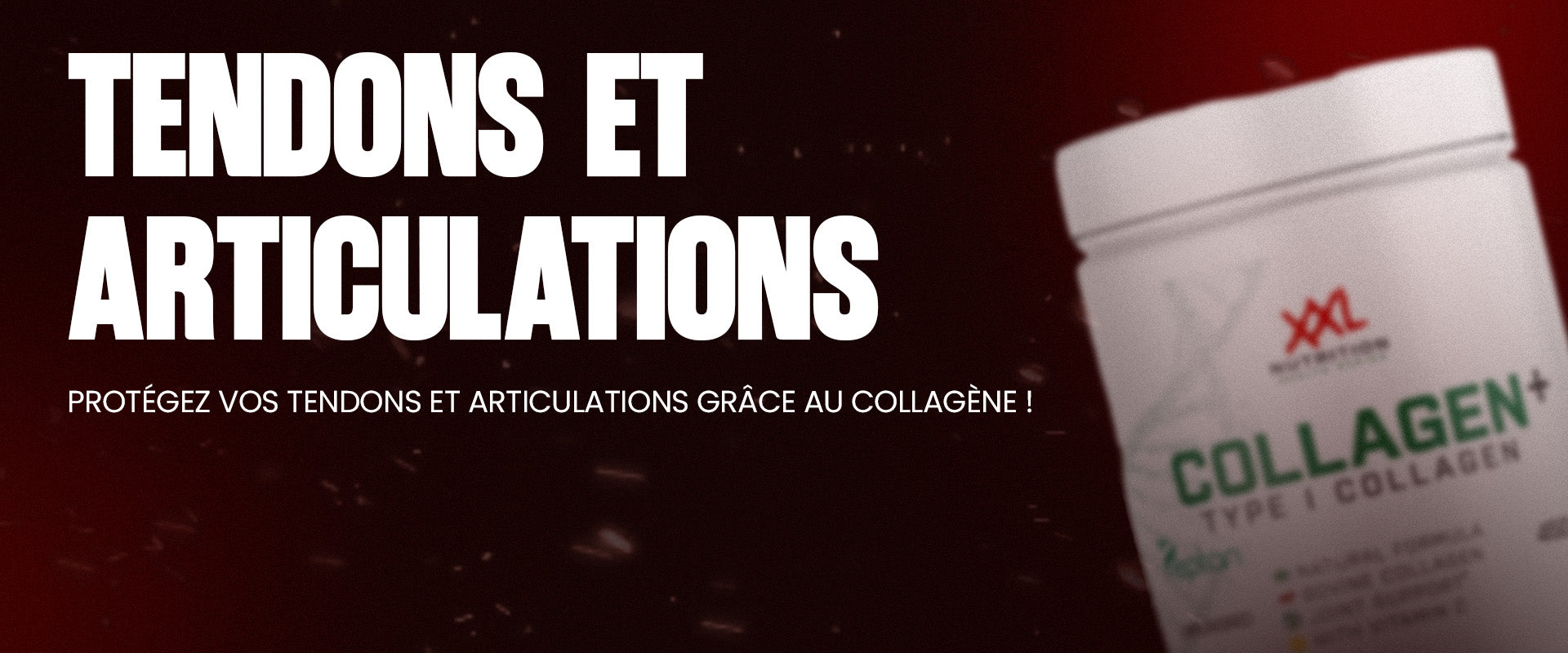 Tendons et Articulations